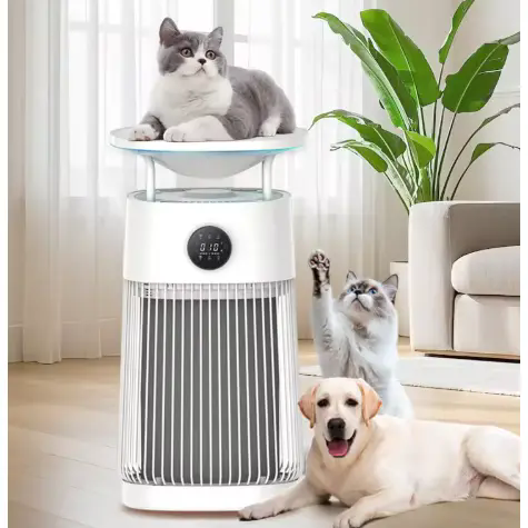 Paano Mapapahusay ng isang Portable Hepa Filter Pets Air Purifier ang Indoor Air Quality para sa mga May-ari ng Alagang Hayop?
