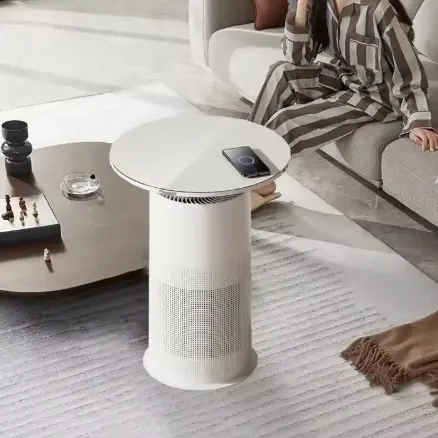 Energy Efficient HEPA Filter para sa mga Allergy Sufferers